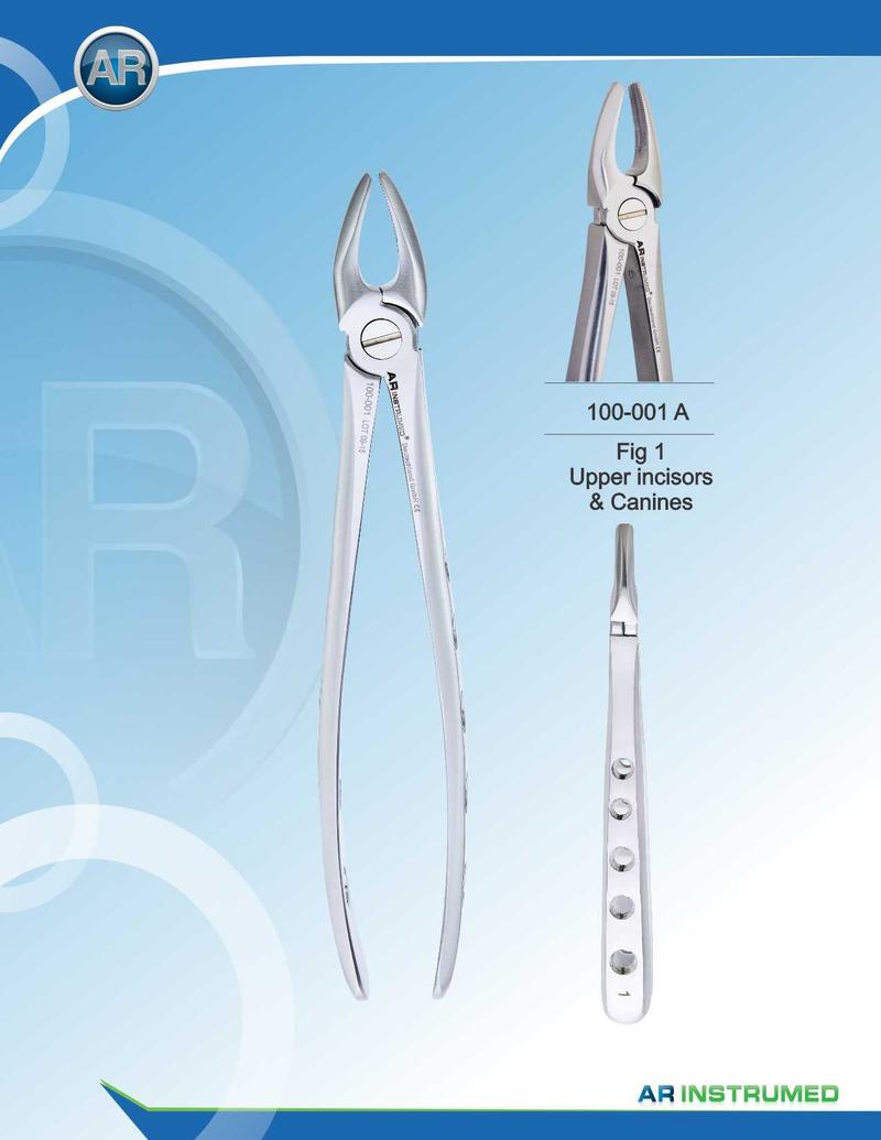 Fig.1 Incisivi superiori e canini 16,5 cm