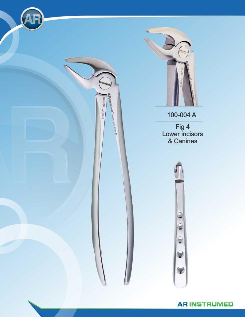 Fig.4 Incisivi e canini inferiori 16,5 cm