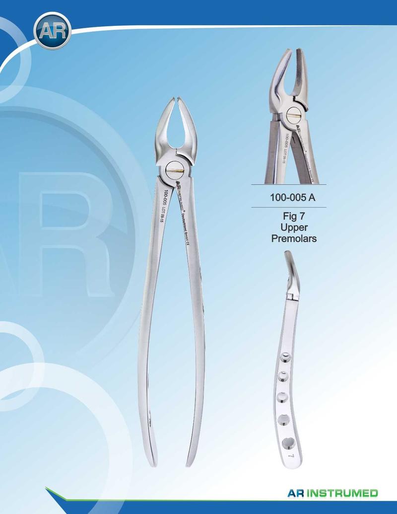 Fig.7 Premolari superiori 16,5 cm