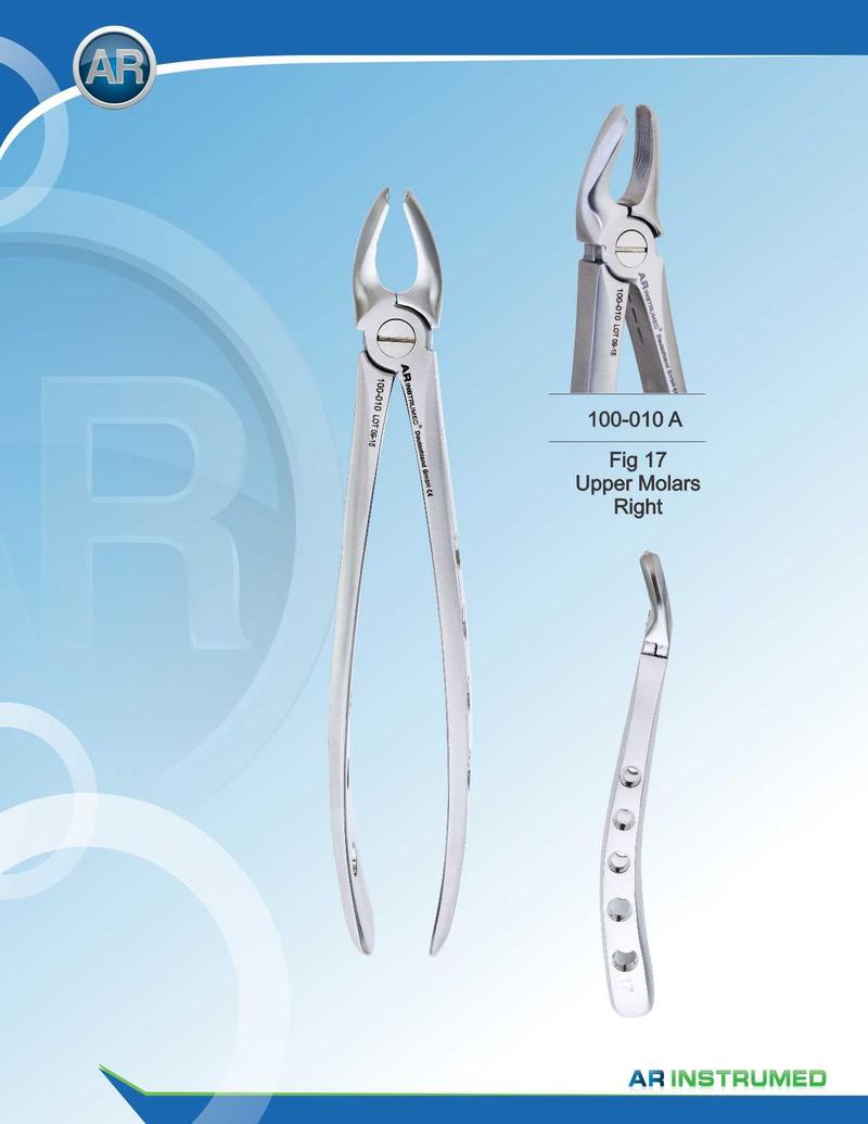 Fig.17 Molari superiori destri 16,5 cm