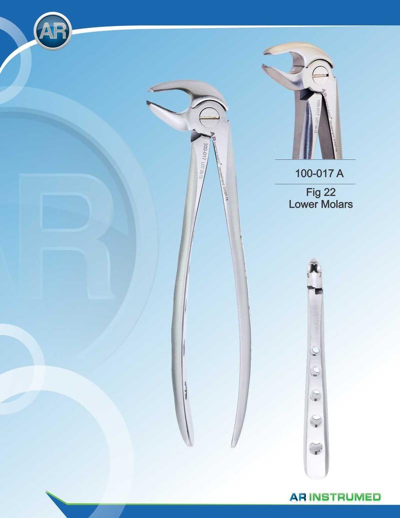 Fig.22 Molari inferiori 16,5 cm