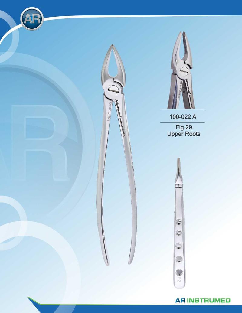 Fig.29 Radici superiori 16,5 cm