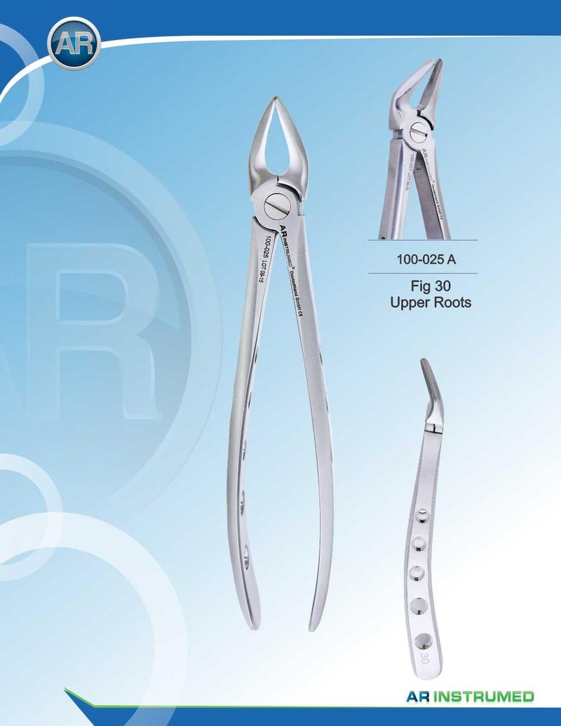 Fig.30 Radici superiori 16,5 cm