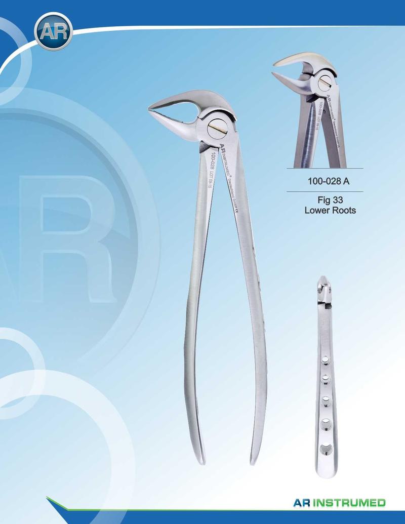 Fig.33 Radici inferiori 15 cm