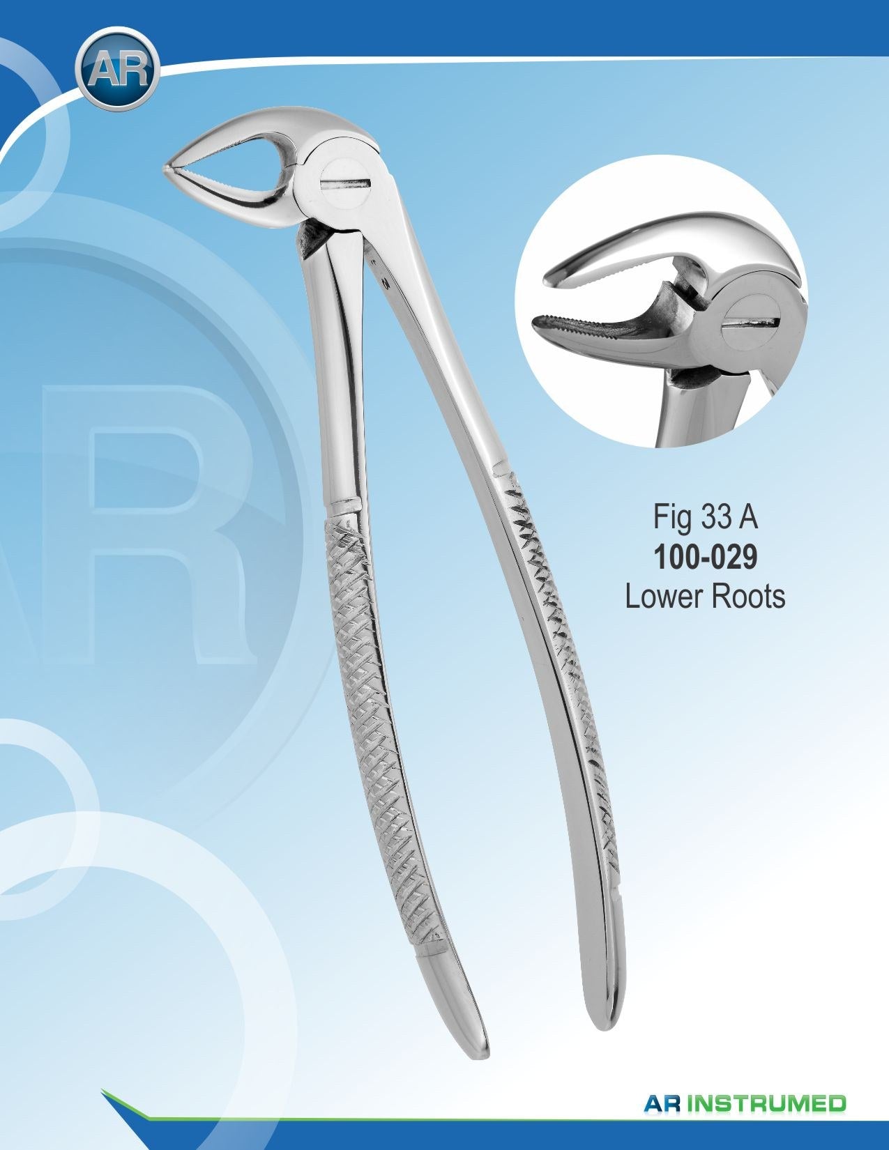 Fig.33A Radici inferiori