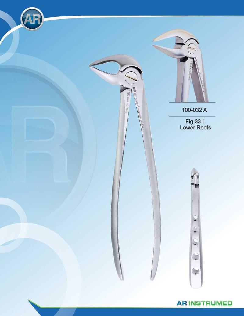 Fig.33L Radici inferiori