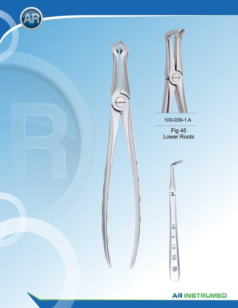 Fig.45 Radici inferiori