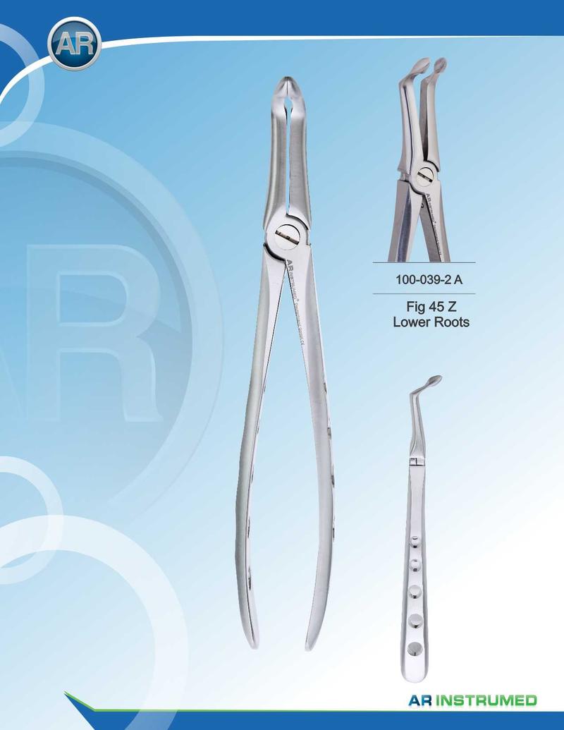 Fig.45Z Radici inferiori