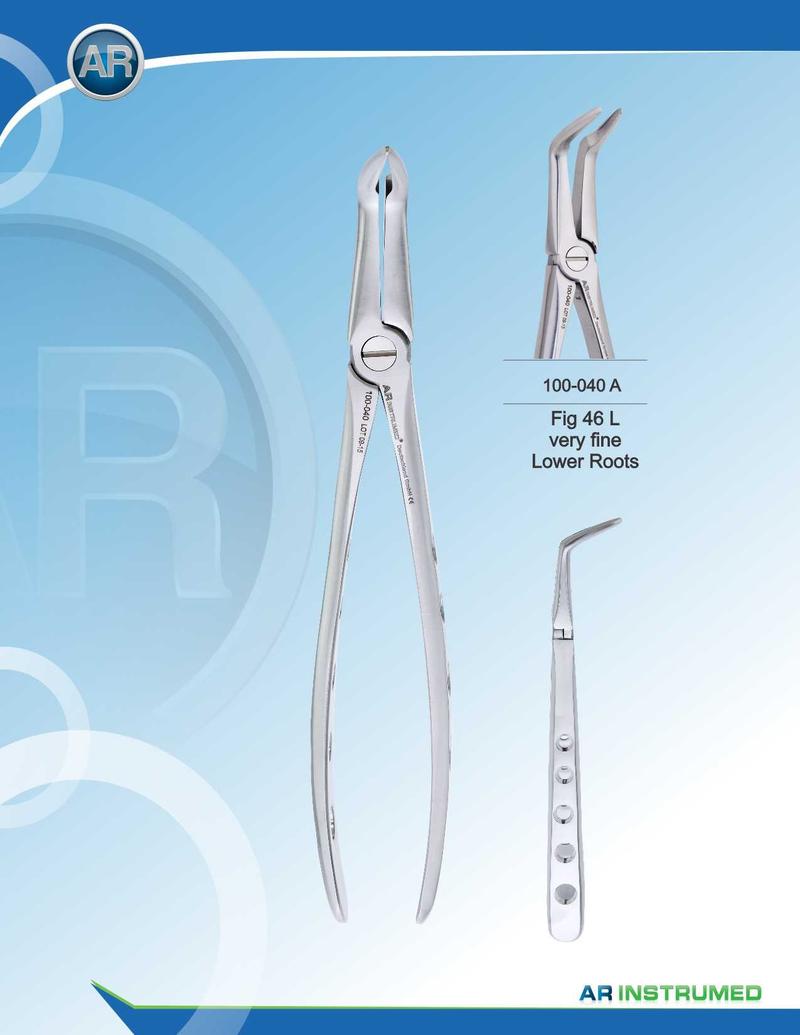 Fig.46L Radici inferiori molto fini