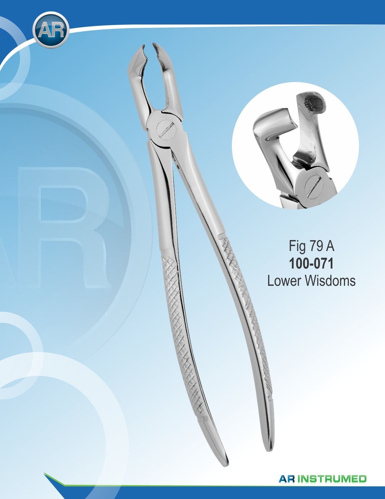 Fig.79A Saggezze inferiori 18 cm