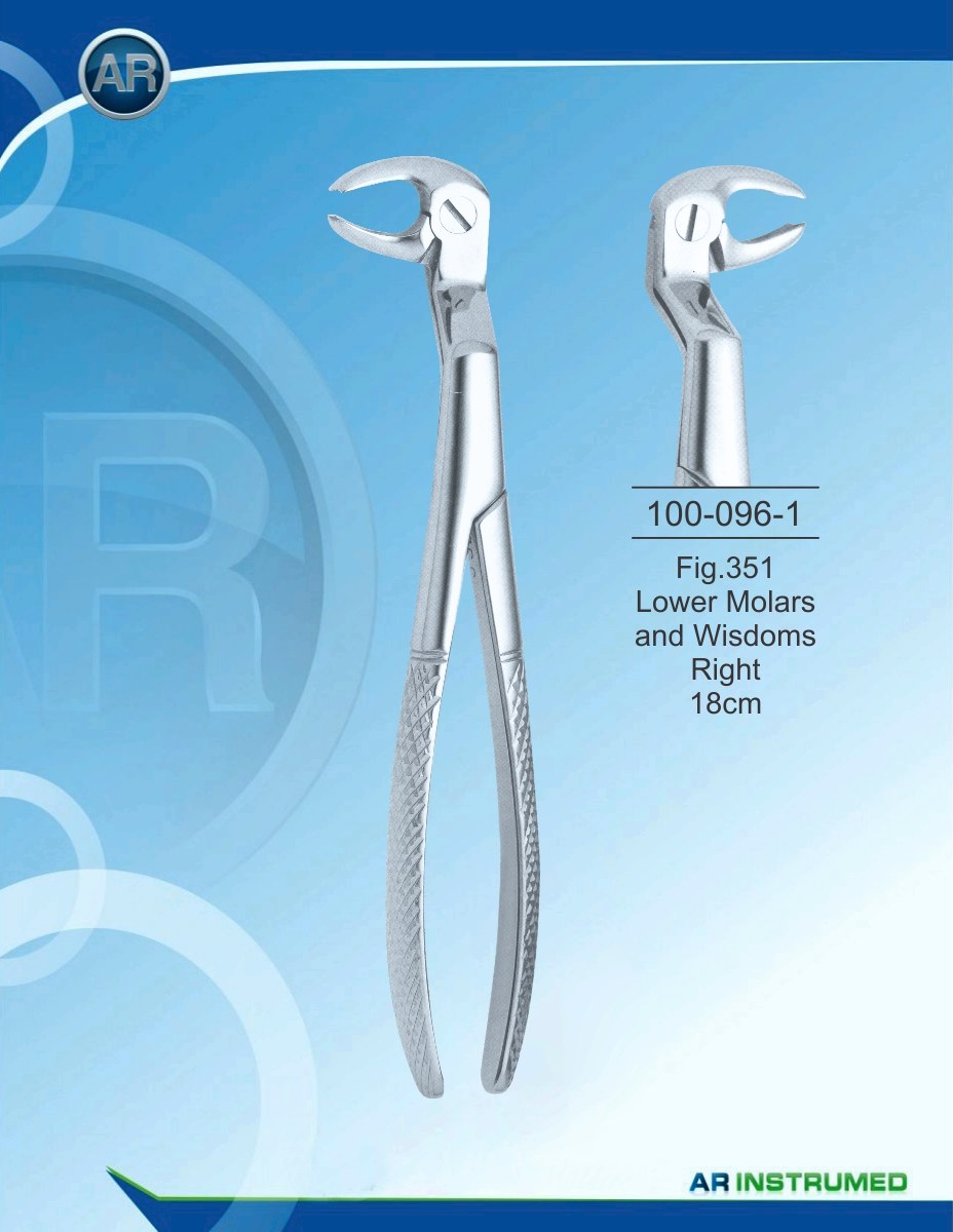 Fig.351 Molari inferiori e saggezza destra 18 cm