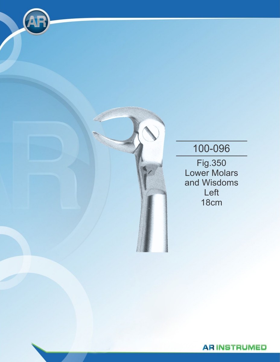 Fig.350 Molari inferiori e saggezza sinistra 18 cm