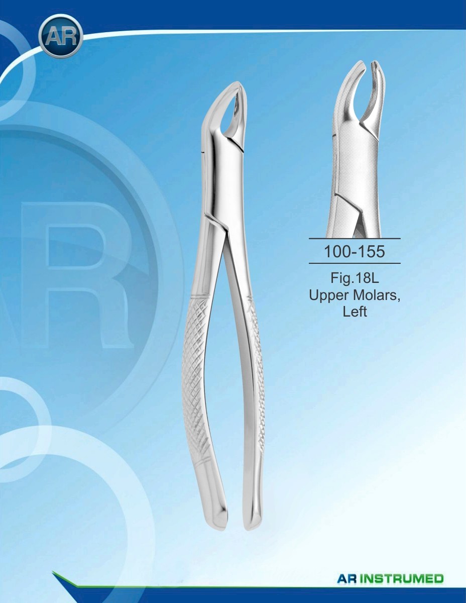 Fig.18L Molari superiori, sinistra