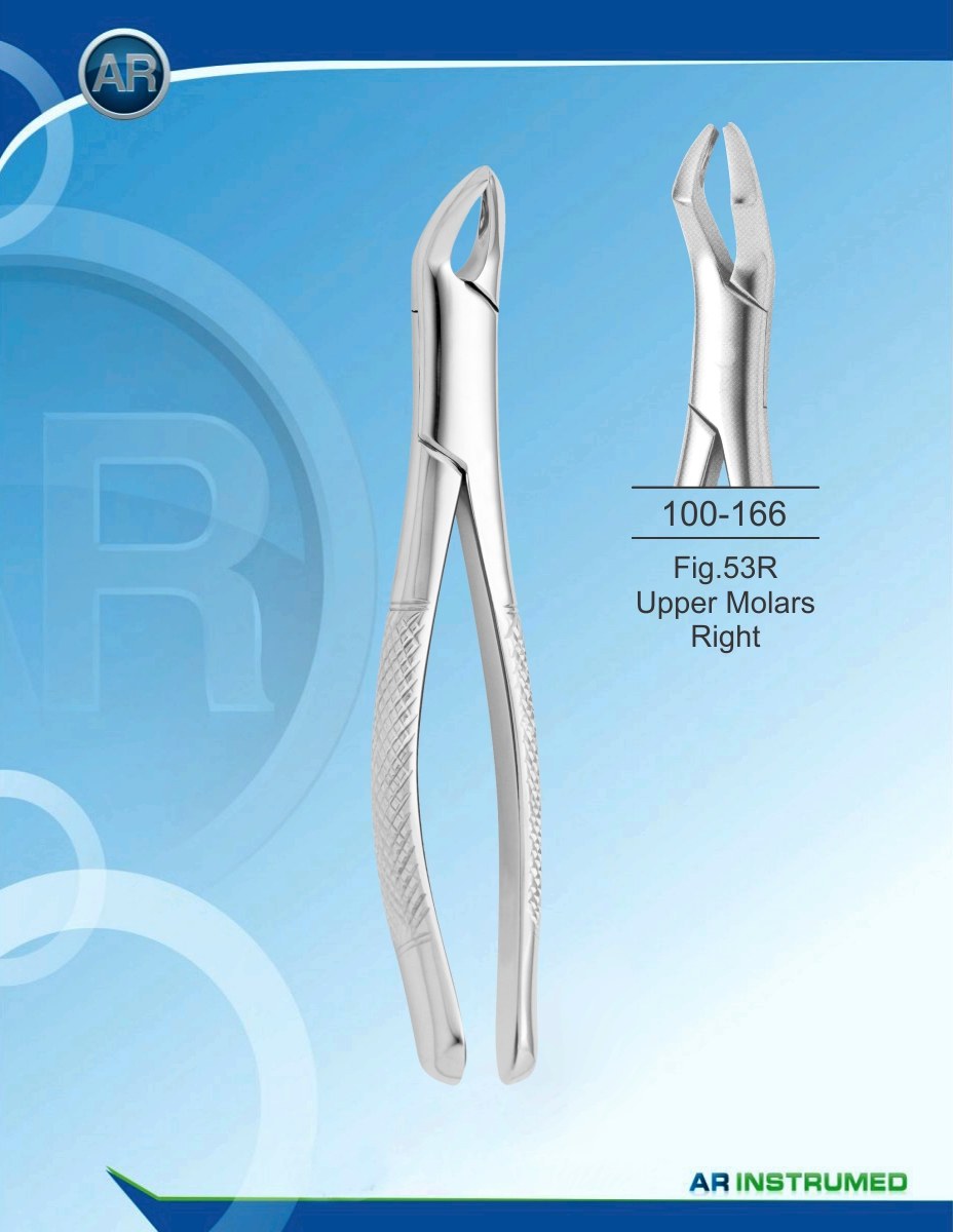 Fig.53R Molari Superiori Destri