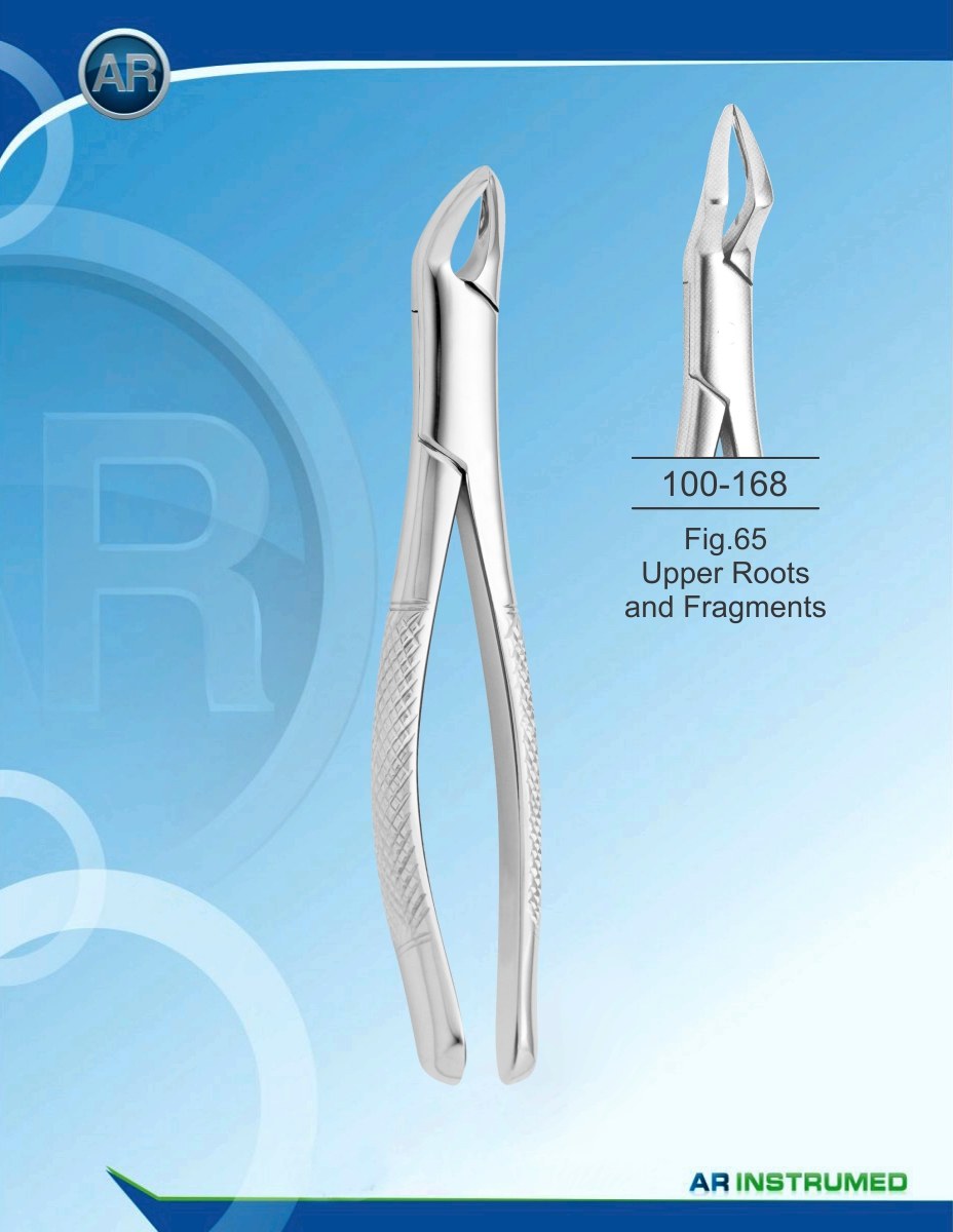 Fig.65 Radici e frammenti superiori