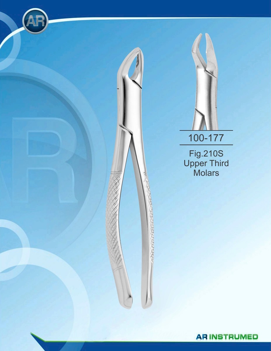 Fig.210S Terzi molari superiori