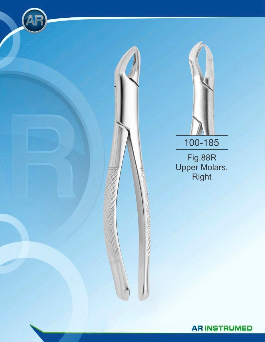 Fig.88R Molari superiori, destra