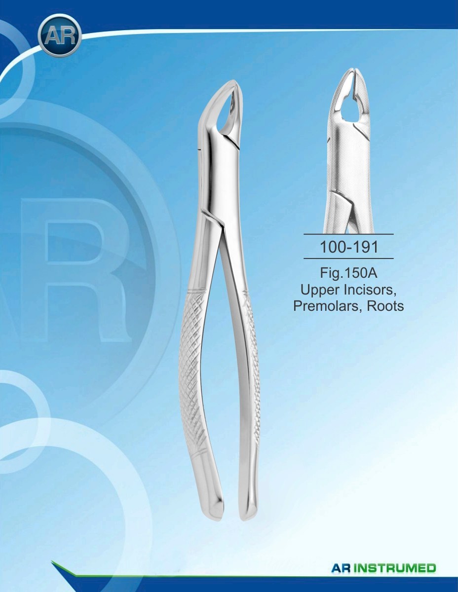 Fig.150A Incisivi superiori, premolari, radici