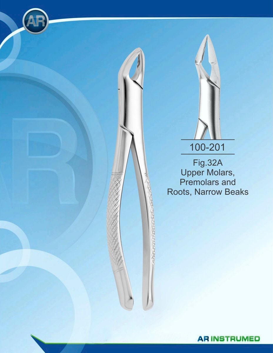 Fig.32A Molari superiori, premolari e radici, becchi stretti