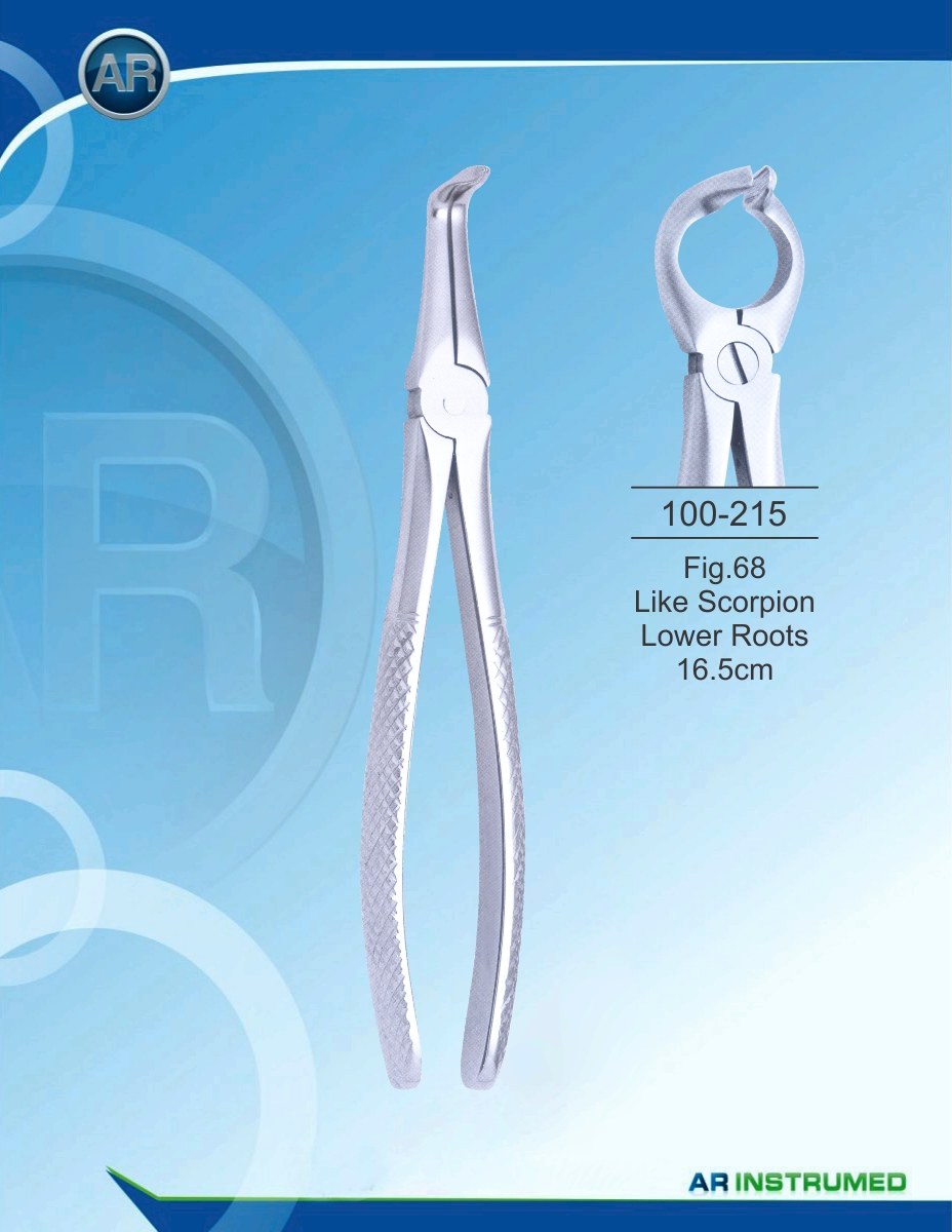 Fig.68 Come Scorpione Radici inferiori 16,5 cm