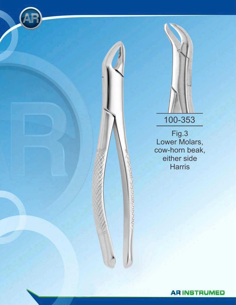 Fig.3 Molari inferiori, becco di corno di mucca, su entrambi i lati i bambini Harris