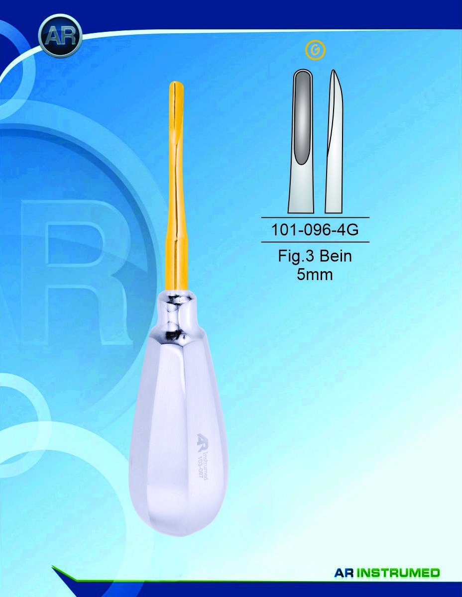 Fig.3 Bein 5mm Dorato