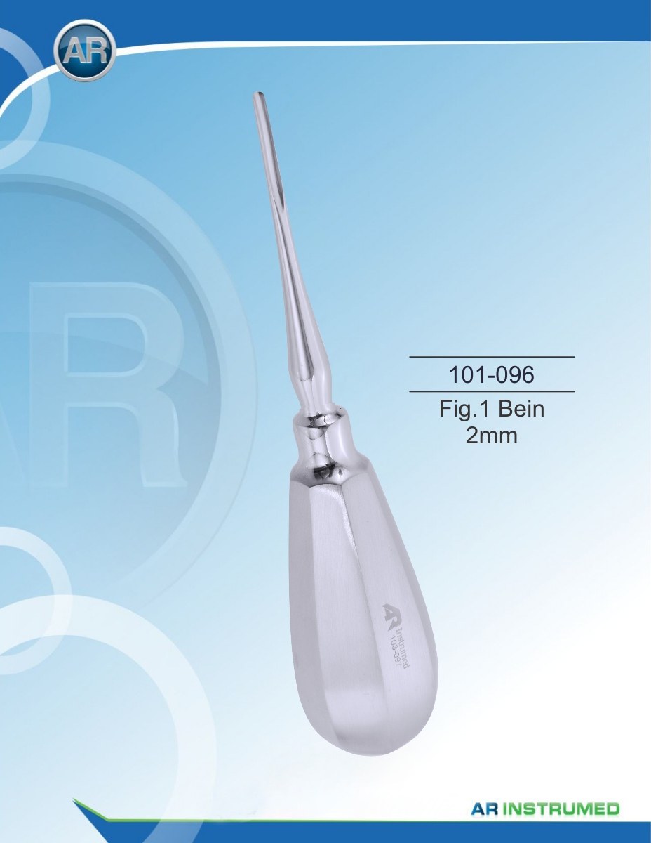 Fig. 1 Gamba 2 mm