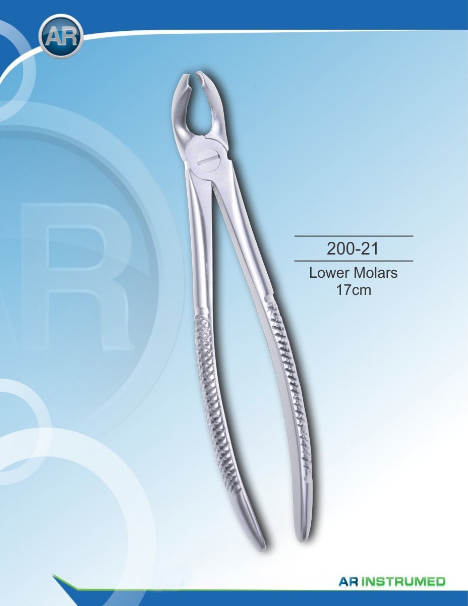 Molari inferiori 17 cm