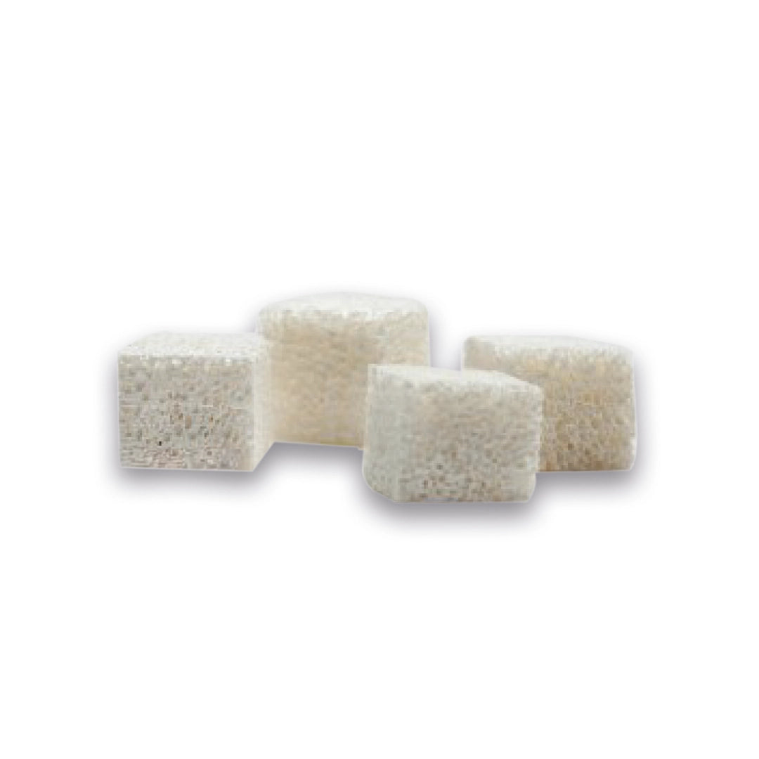 BIOPLANT BLOCCHI